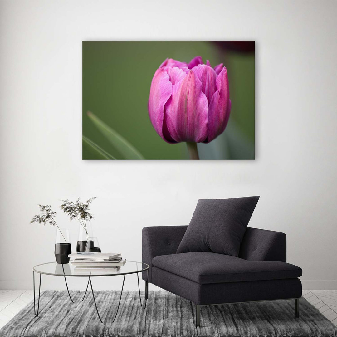 Leinwandbild Lila Tulip Blossom