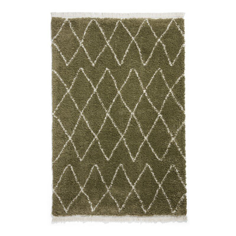 Pechler area rug Machine Woven Green, Rectangle 200 x 290cm