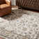 Atherine Oriental Indoor Rug