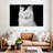 Delighted White Cat-107947792