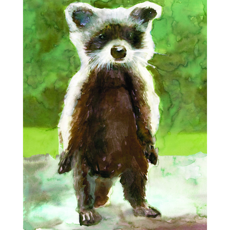«Baby Racoon», reproduction sur toile tendue, H 16 po x l 12 po