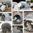 Felt Nest Pet Bed-93925560-50510748