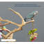 Support de jeu en bois Freese-210011154