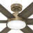 Donatella 52" 6 - Blade Ceiling Fan with Lights and Remote-83665631