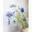 Real Touch Bleu Cosmos 29 po-904251296