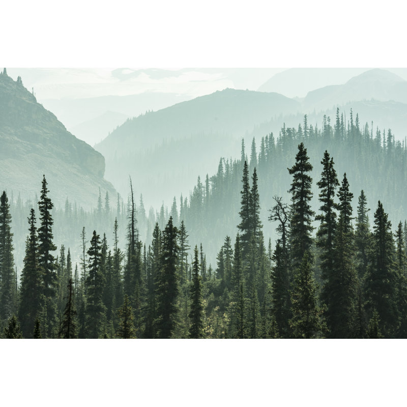 Misty Mountains - Wrapped Canvas Print, 81cm H x 122cm W x 3.8cm D