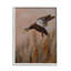 «Duck Flying» par Richard Clifton-93843037-93854694