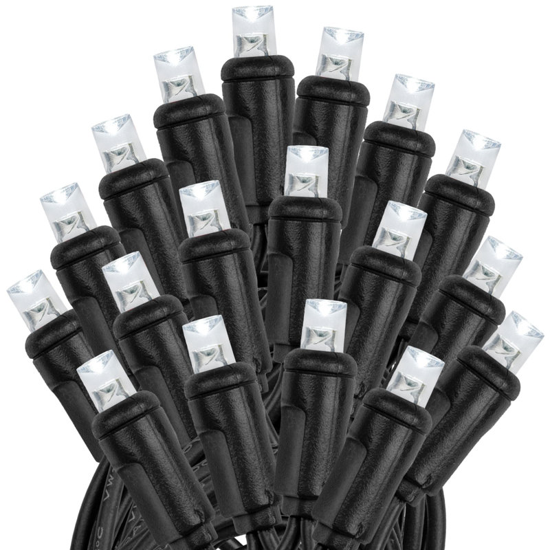 Outdoor 100 - Bulb 50'' Plug-in LED Wide Angle LED String Light, Pure White, Black