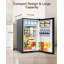 Ateroll Frigither Mini Fridge