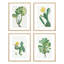 «Green Blooming Flower», ensemble de 4 fleurs de cactus du désert, impression murale encadrée sur papier, impression de 4 pièces-93012483-93012482