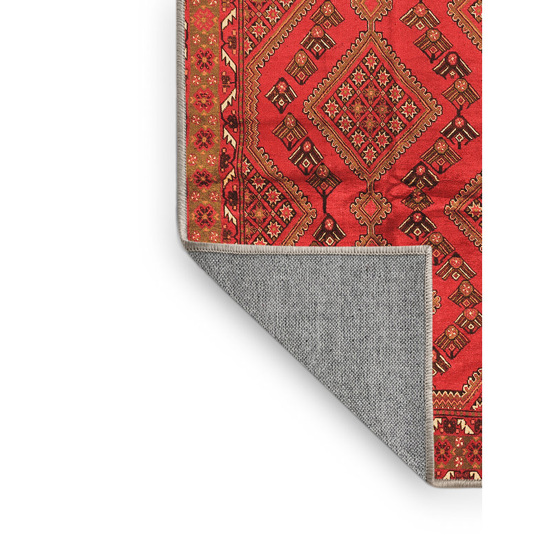 Maiza Oriental Machine Woven Chenille Area Rug in Orange/Terracotta, Rectangle 2' x 3'