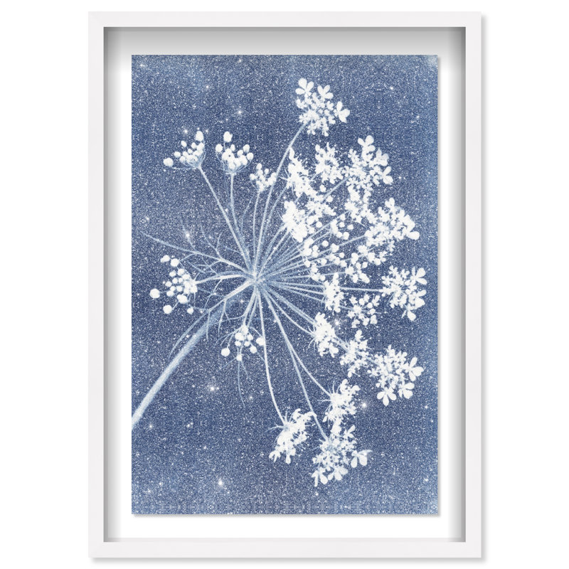 Queen Lace Shadowbox Floral & Botanical Print by Oliver Gal, Black Frame, 10 x 15, 37.5"H x 55.5"W, White Shadowbox