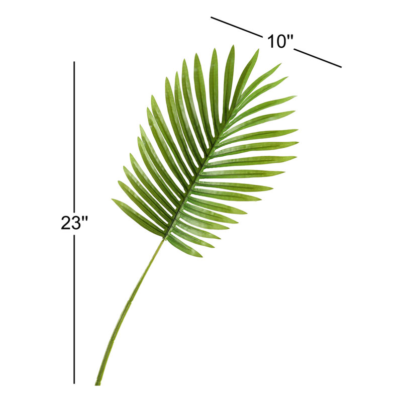 Petite tige de feuille de palmier hawaïenne