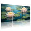 Plantes et fleurs, nénuphars sur un étang, ensemble de 3 impressions sur toile-1200670243