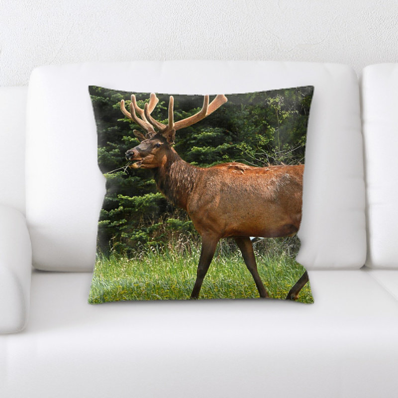 Coussin elk