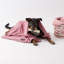 Tapis pour animaux Bangor Rose Paw-1148924690