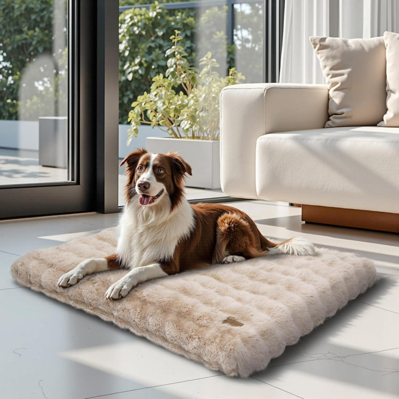 Pet Bed