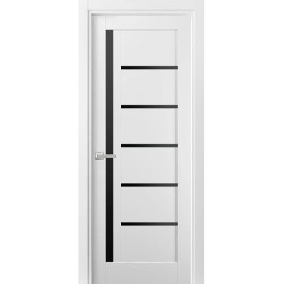 Porte française unie à l'intérieur | Quadro 4588 avec verre noir | Poignée simple à panneau régulier | Portes de salle de bain robustes