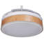 Ashae 48cm Ceiling Fan with LED Lights