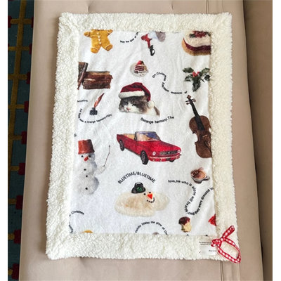 Couverture Snowfall