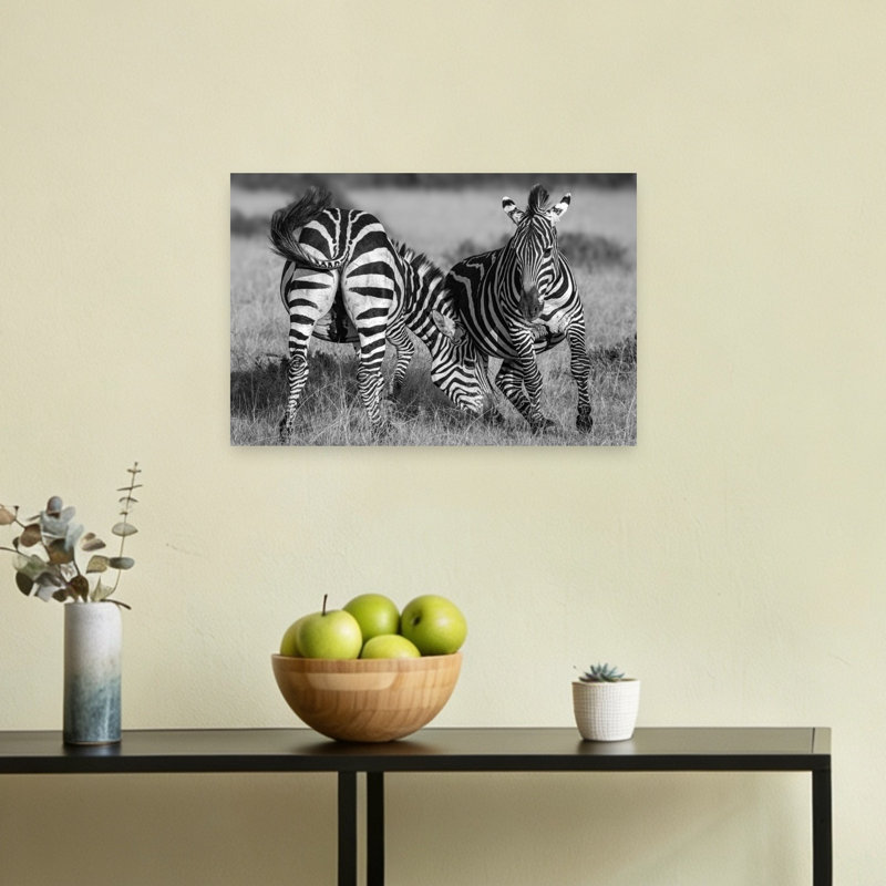 Playful Zebras Contemporary Zebra Wall Art Print 1 Piece Wrapped Canvas Wall Art, 30.48cm H x 45.72cm W