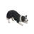 Border Collie Garden Statue