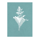 Pearl Shell III Painting by Fern Cassidy