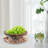 Glass Candy and Nuts Serving Container Food Storage Platter with Wooden Lid-928877439