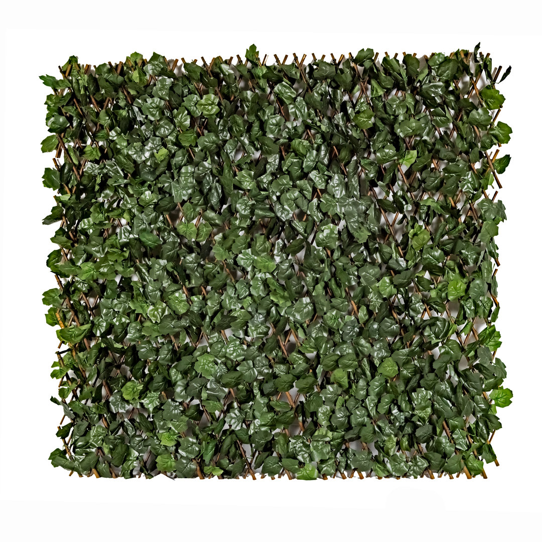 Pasadena Single Side Expandable Faux Hedge Artificial Ivy Fencing (Set of 2) Primrue