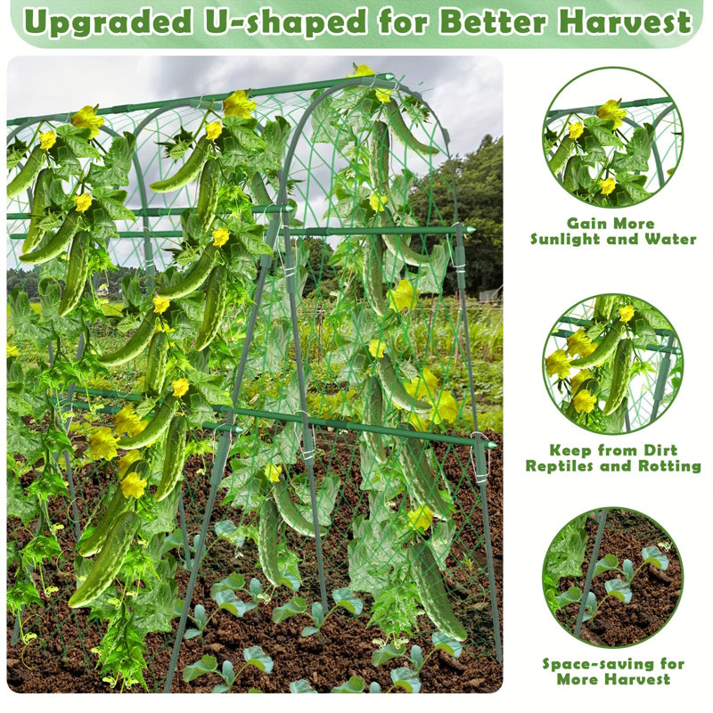 1.2cm H x 1.6cm W Arched Trellis