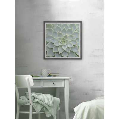 Seamless Patterns - Single Picture Frame Painting