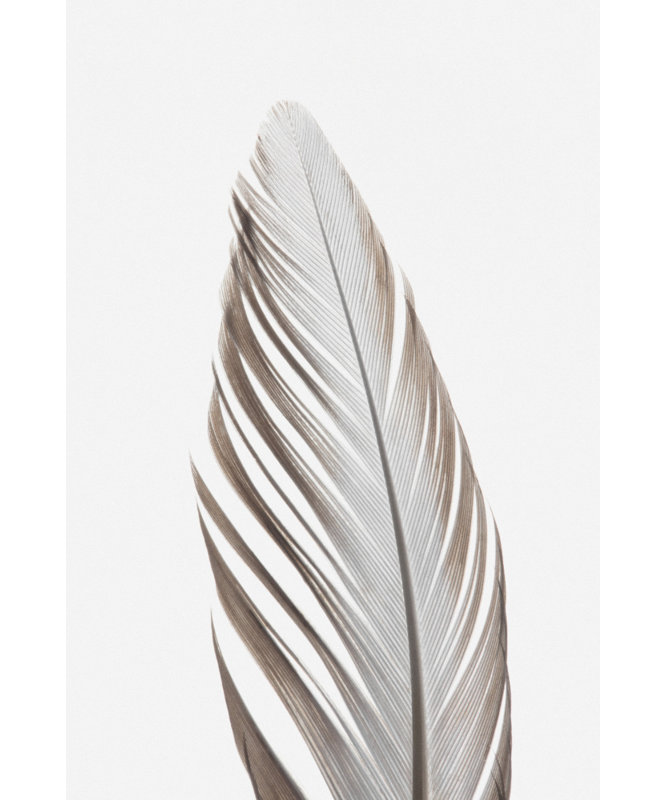 Wrapped Canvas Print, 91.44 cm H x 60.96 cm W