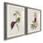 Pretty Pink Botanicals VI - Ensemble de 2 reproductions de cadres photo-1481787739-1481787808