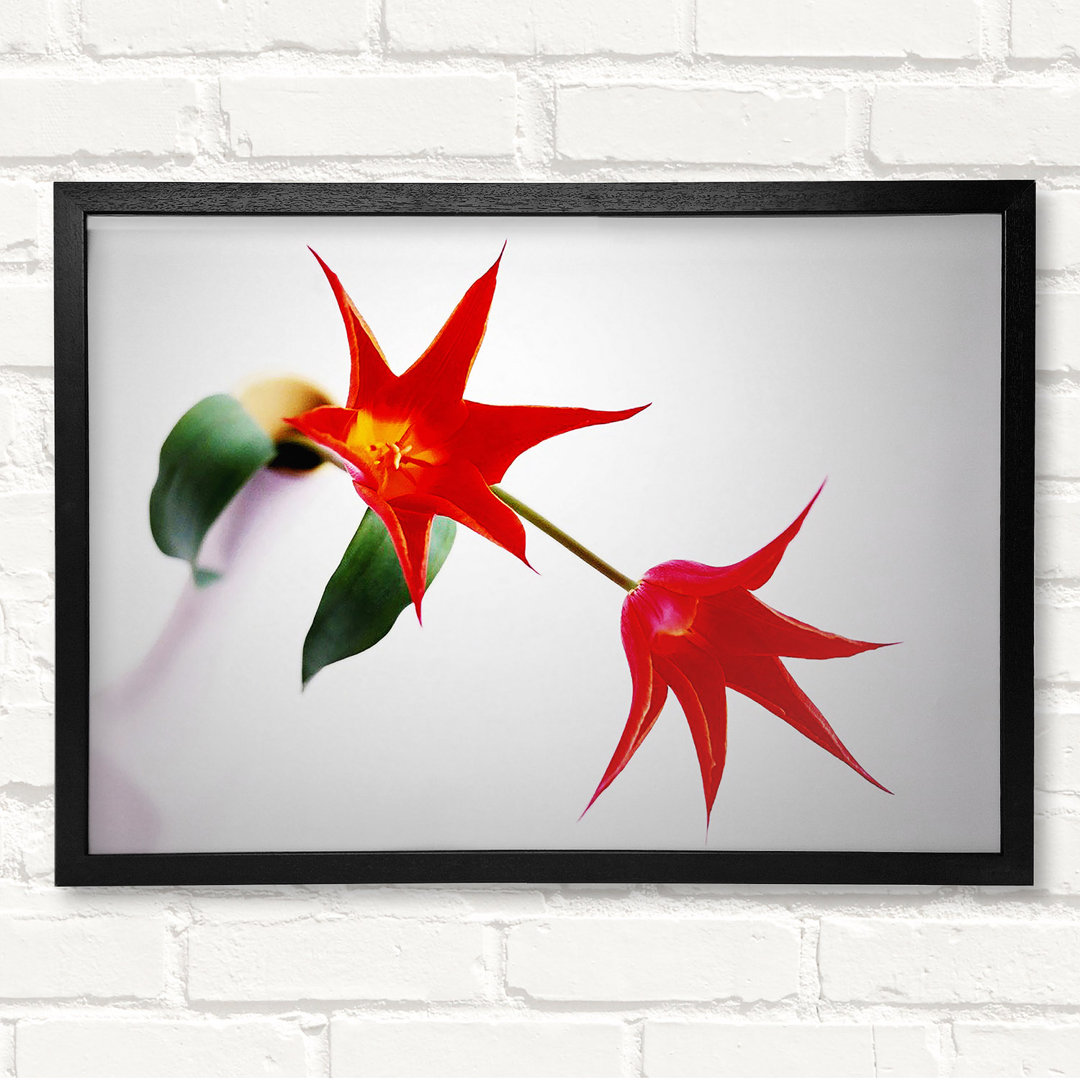 Gerahmtes Wandbild Twin Fire Tulip Centre