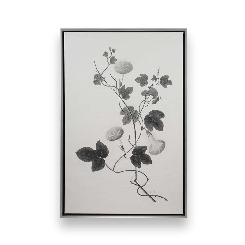 «Botanical VI» par Deborah Revell, reproduction d'art sur toile, Argent argent, Cadre flottant, H 30 po x l 20 po