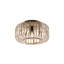Wilkes-Barre Flush Mount