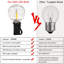 Anaisa Indoor / Outdoor 32 - Bulb 1830 cm Plug-in LED Globe String Light