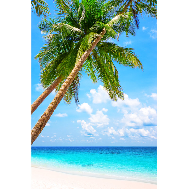 Beach With Palm Trees - Wrapped Canvas Print, 46cm H x 30cm W x 3.8cm D