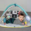 Baby Gym Mat