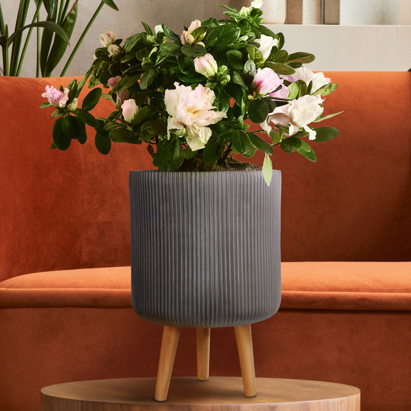 Ribbed Cylinder Planter with Feet, Black, 36cm H x 25.5cm W x 25.5cm D
