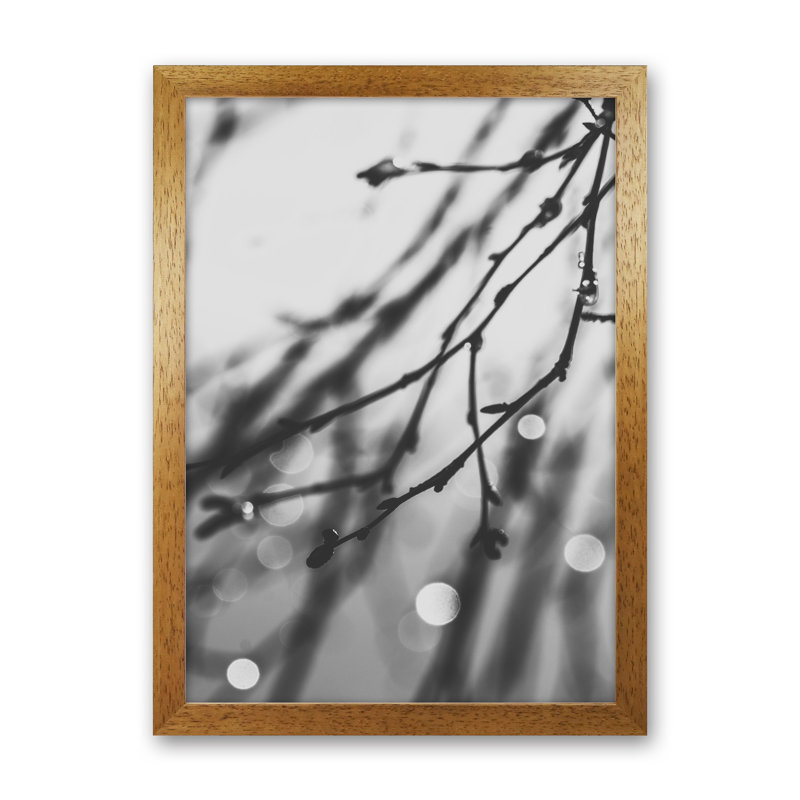 Twilight II by Victoria Frost - Print, 88cm H x 64cm W x 3cm D, Oak Framed