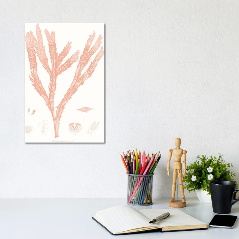 Vivid Coral Seaweed II 1 Piece Wrapped Canvas Painting, 20.32 cm H x 30.48 cm W