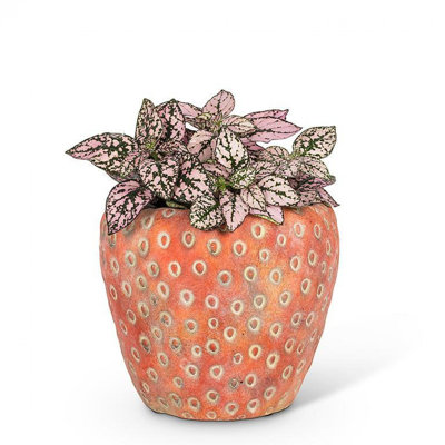 Pot à fleurs fraise