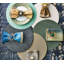 Shagreen Placemat-33813948