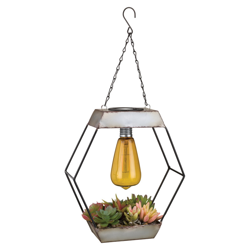 Lanterne solaire Edison Succulent - diamant