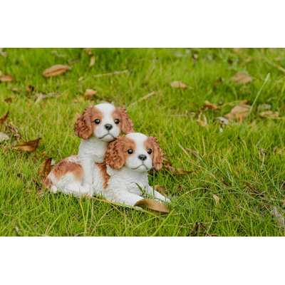King Charles Puppies Sitting