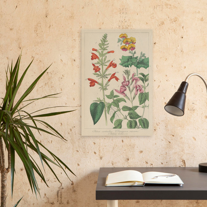 Rétro et champêtre / fleurs de Salvia I, H 24 po x l 16 po