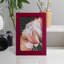 Pastel Parrot Tulips III encadré sur papier-844912993-844912992