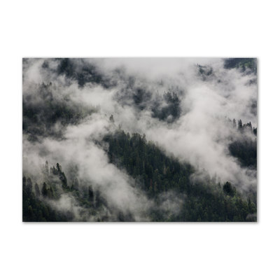 Fog Over The Forest - Wrapped Canvas Print