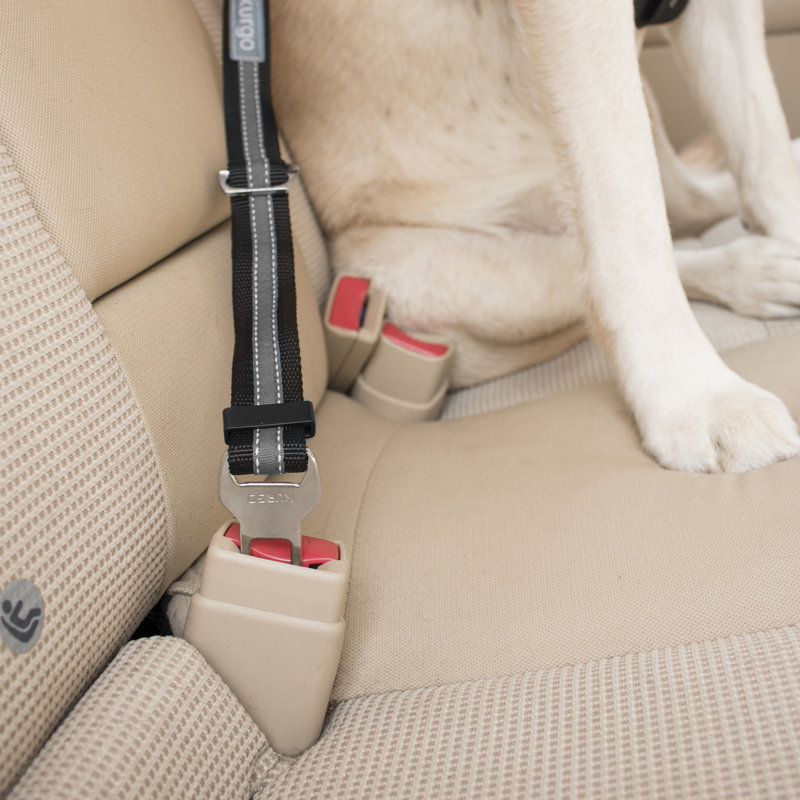 Direct to Seatbelt Tether, Orange